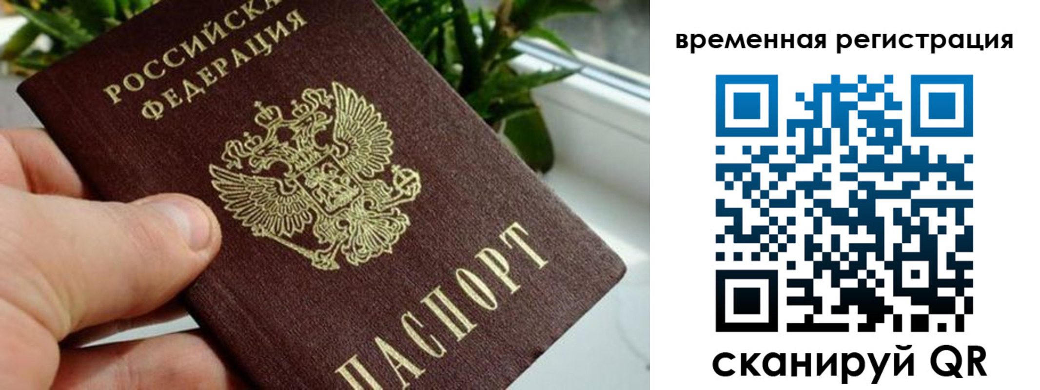 прописка поиск в Алдане